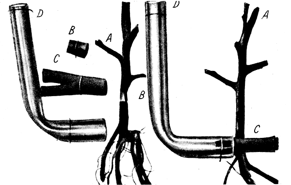 12.         