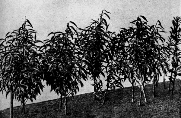 18.   