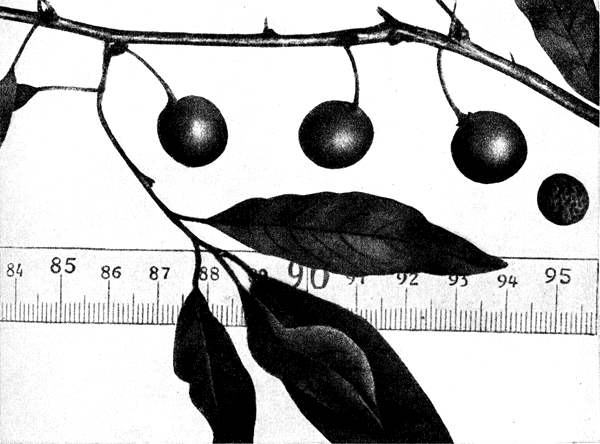 23.   