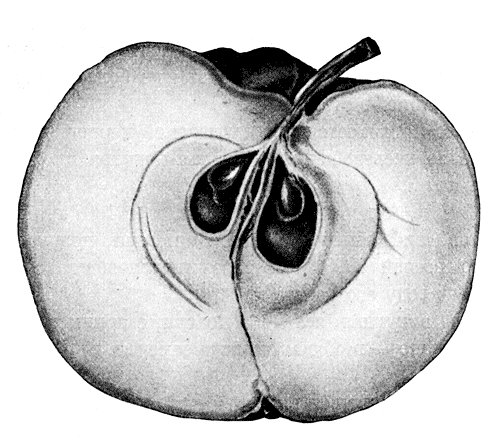 27.     