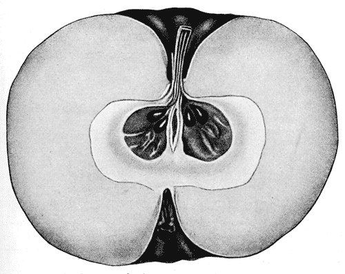 29.     