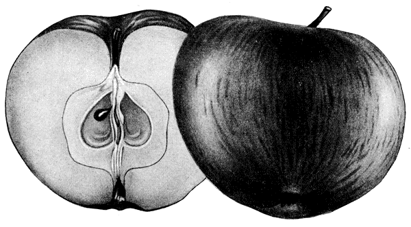 39.  -