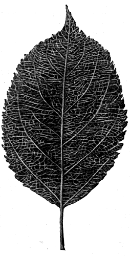 43.  -