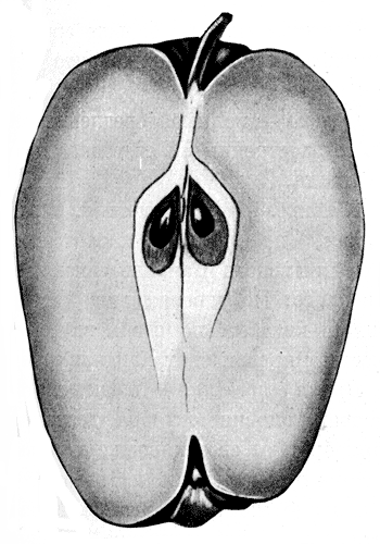 48.    - 