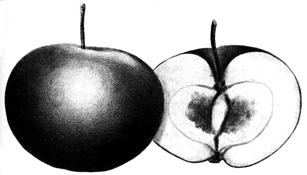 61.  