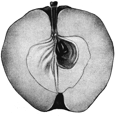62.   