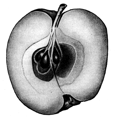 63. -  