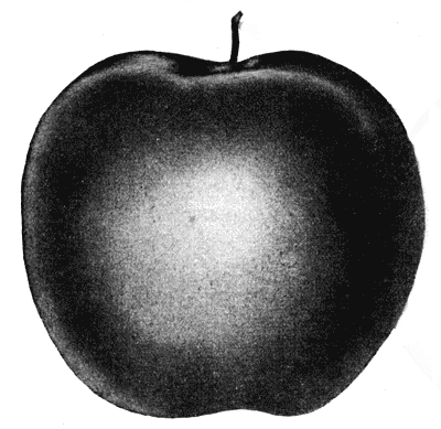 64.  - 