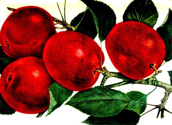 ������� VI. ����� ���������