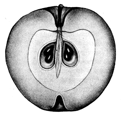 67. ������ ����� ������ ����������