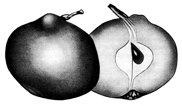 71.      