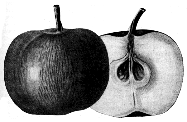 72.    