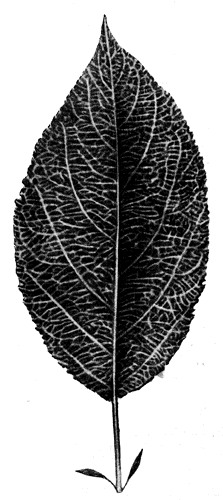 73.   