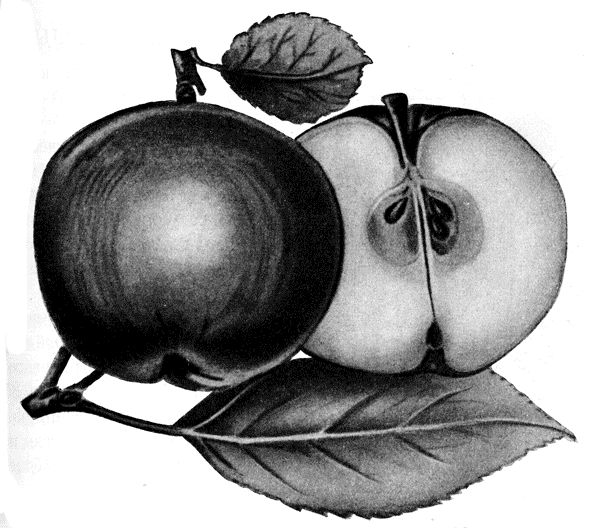 76.    