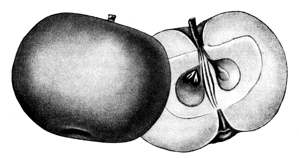 81.     