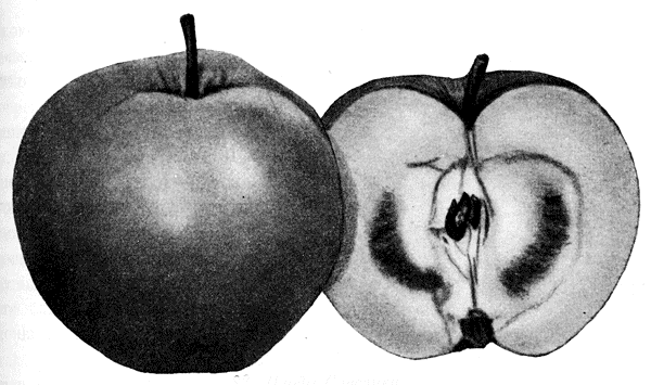 82.  