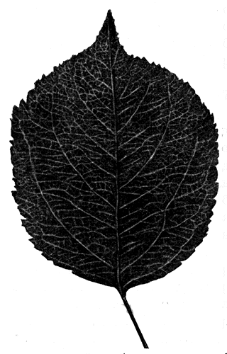 83.  