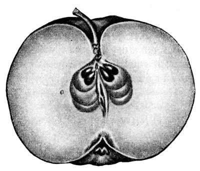 85.     