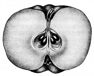 86.    