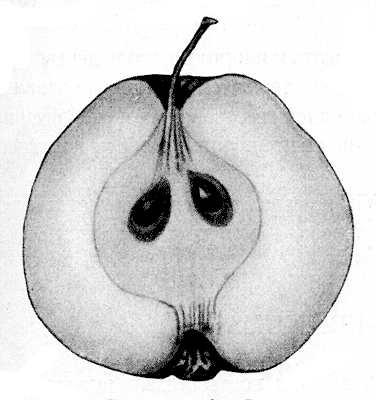 88. ������ ����� ����� ������� ������������