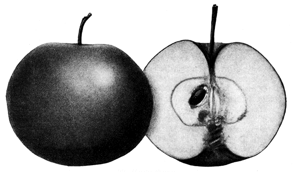  90. ����� ����� 