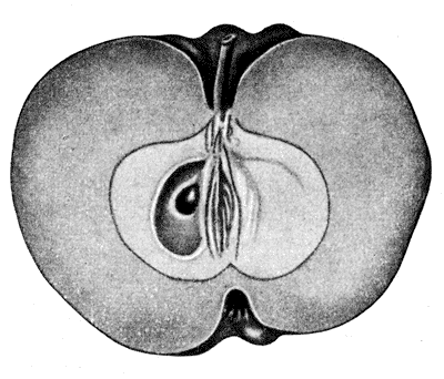 93.    