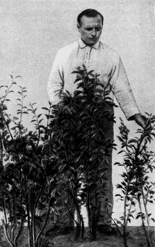 102.     