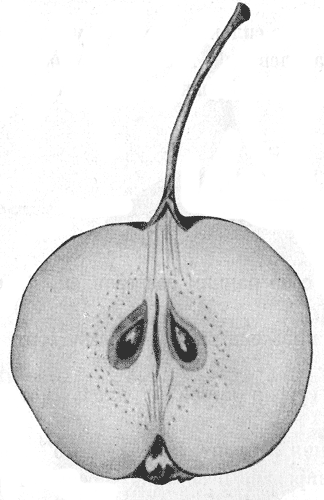 103.   