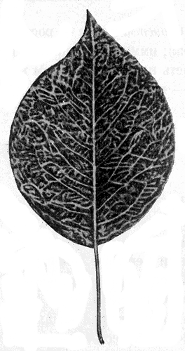 104.  