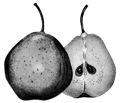 105.    