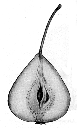 106.        