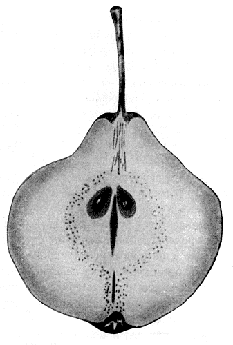 109.      