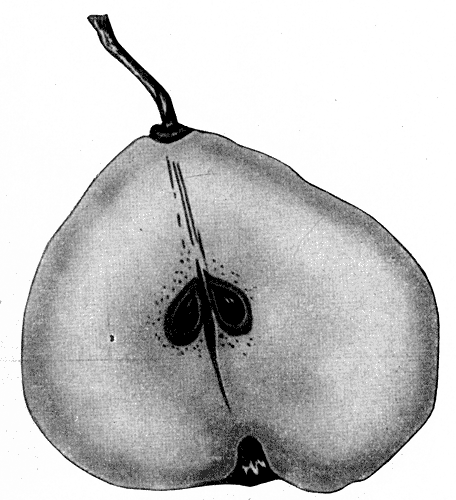 110.     