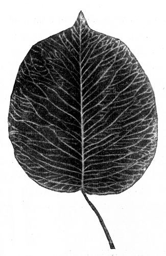 114.      