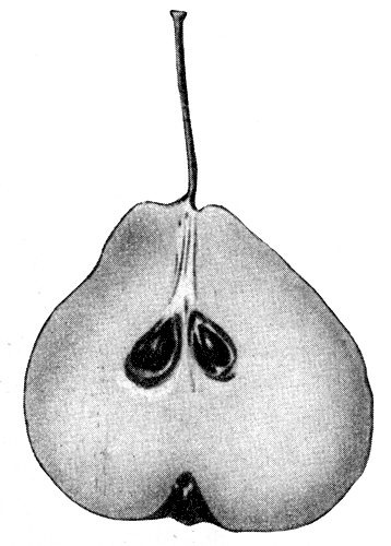 119.    