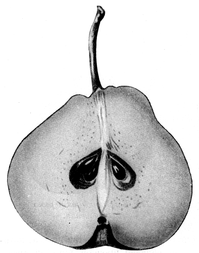120.   
