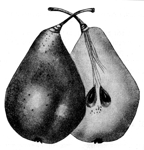 122.    