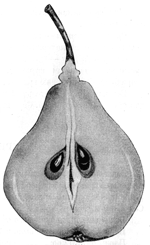 123.    