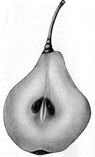 124.   