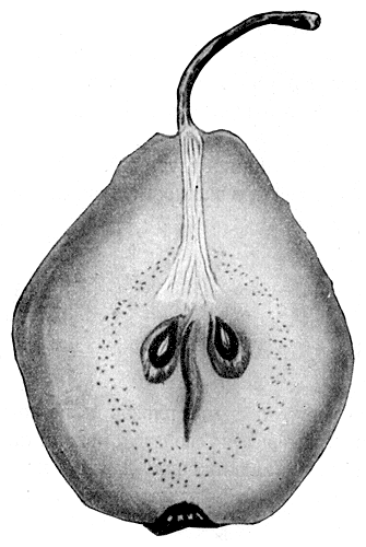 128.    