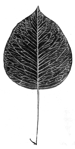 129.   