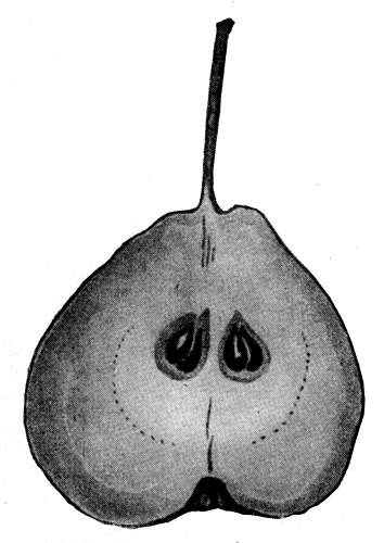 130.      