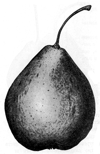 131.   