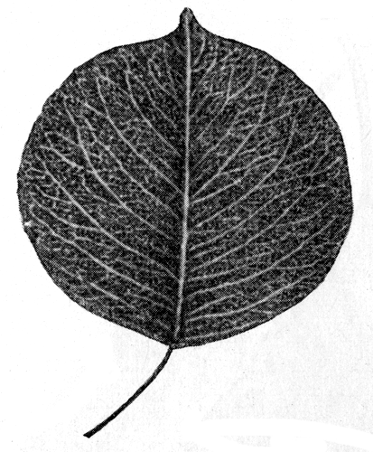 133.   