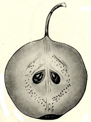 134.  