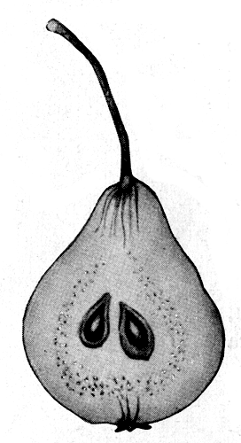 137.      