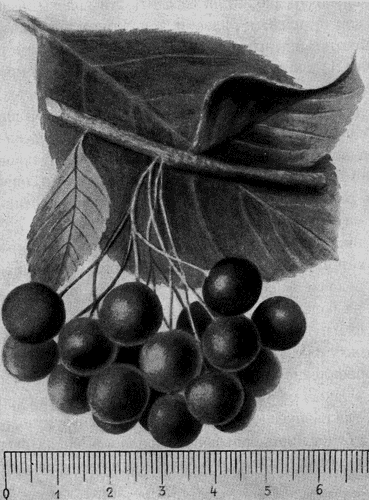 142.  