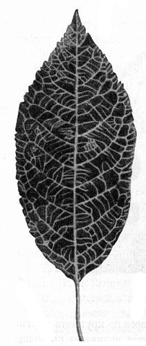 146.   