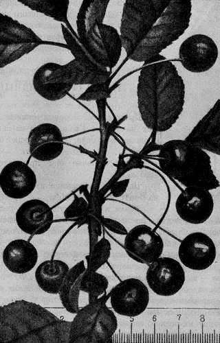 148.   