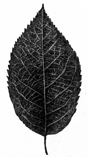 149.    